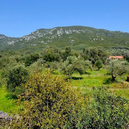 Giokos Apartment